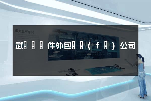 武義縣軟件外包開發(fā)公司