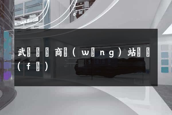 武義縣電商網(wǎng)站開發(fā)