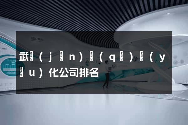 武進(jìn)區(qū)優(yōu)化公司排名