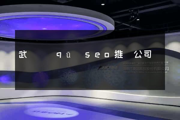 武進區(qū)seo推廣公司