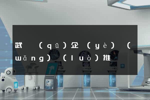 武進區(qū)企業(yè)網(wǎng)絡(luò)推廣