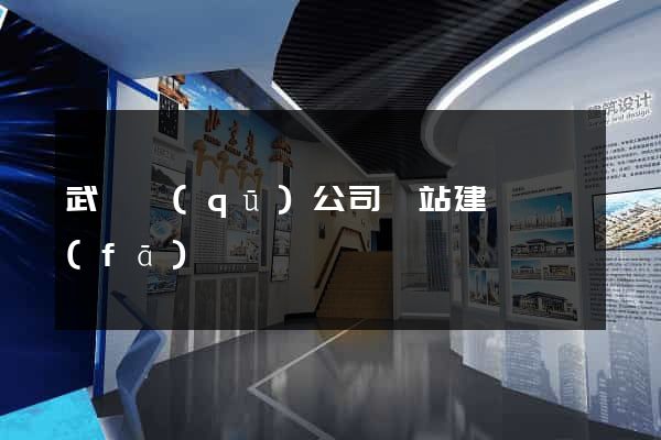 武進區(qū)公司網站建設開發(fā)