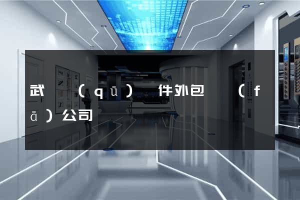 武進區(qū)軟件外包開發(fā)公司