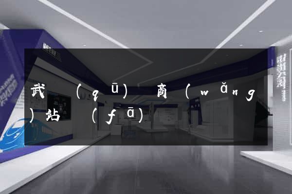 武進區(qū)電商網(wǎng)站開發(fā)