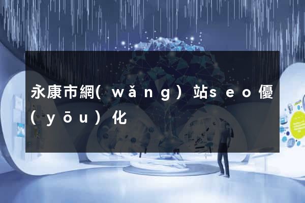 永康市網(wǎng)站seo優(yōu)化