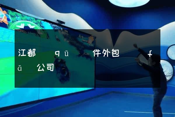 江都區(qū)軟件外包開發(fā)公司