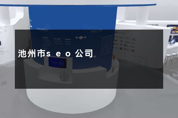 池州市seo公司