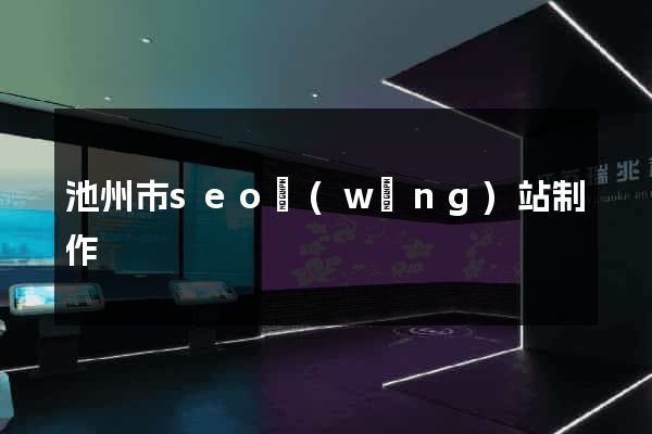 池州市seo網(wǎng)站制作