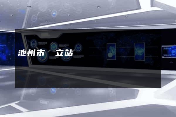 池州市獨立站運營
