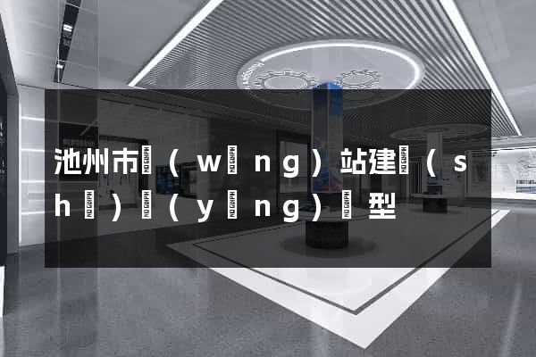 池州市網(wǎng)站建設(shè)營(yíng)銷型