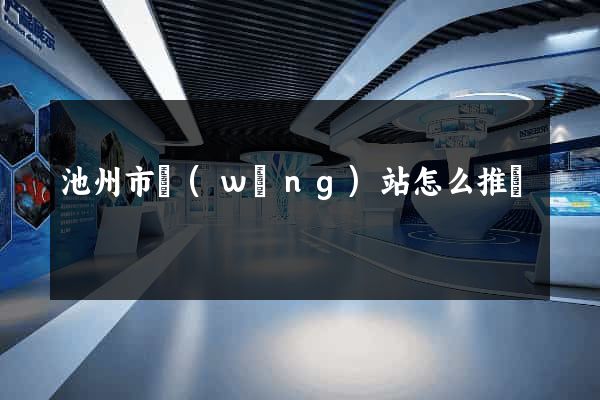 池州市網(wǎng)站怎么推廣