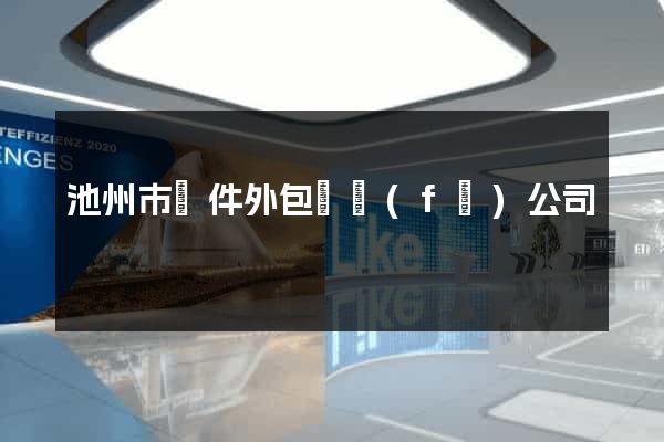 池州市軟件外包開發(fā)公司