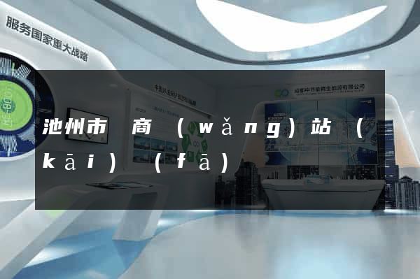 池州市電商網(wǎng)站開(kāi)發(fā)