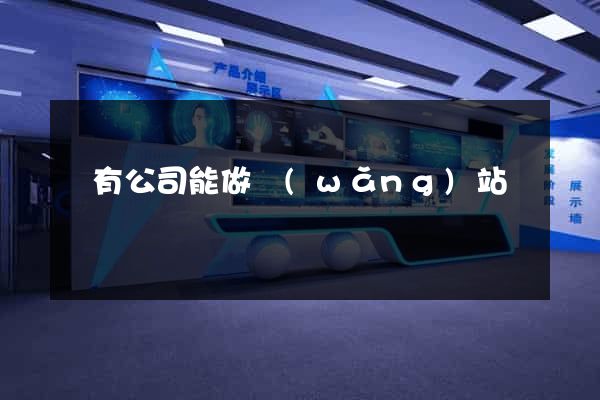 沒有公司能做網(wǎng)站嗎