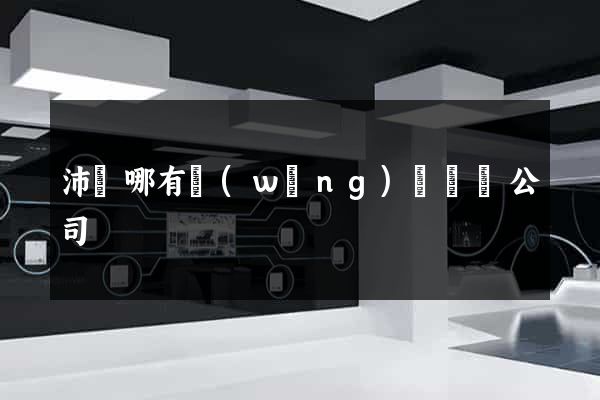 沛縣哪有網(wǎng)頁設計公司