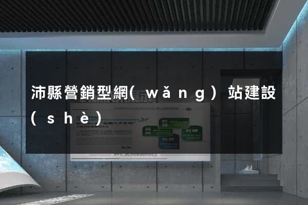 沛縣營銷型網(wǎng)站建設(shè)