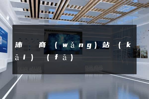 沛縣電商網(wǎng)站開(kāi)發(fā)