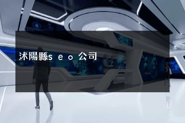 沭陽縣seo公司