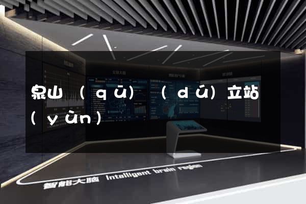 泉山區(qū)獨(dú)立站運(yùn)營