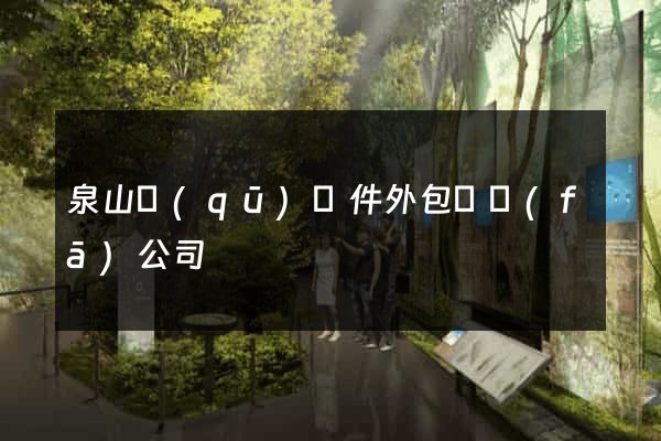 泉山區(qū)軟件外包開發(fā)公司