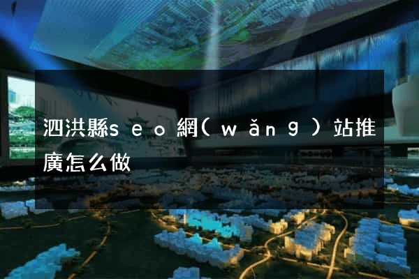 泗洪縣seo網(wǎng)站推廣怎么做