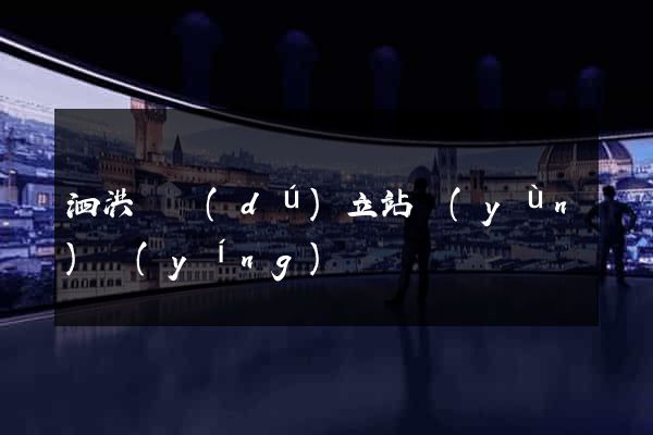 泗洪縣獨(dú)立站運(yùn)營(yíng)