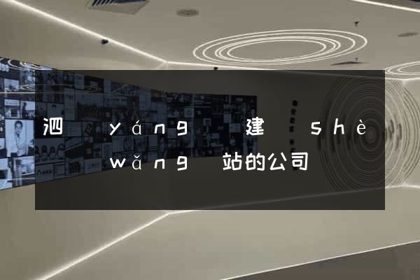 泗陽(yáng)縣建設(shè)網(wǎng)站的公司