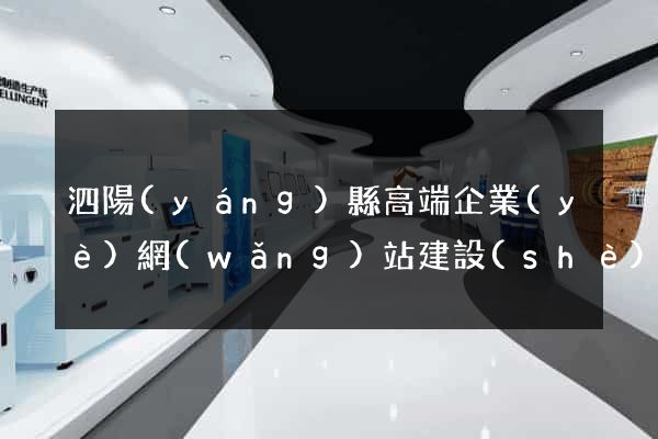 泗陽(yáng)縣高端企業(yè)網(wǎng)站建設(shè)公司