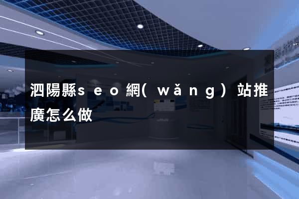泗陽縣seo網(wǎng)站推廣怎么做