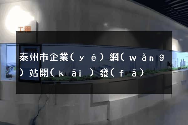 泰州市企業(yè)網(wǎng)站開(kāi)發(fā)
