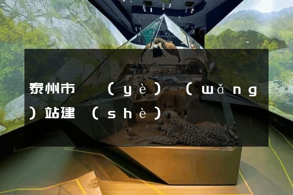 泰州市專業(yè)網(wǎng)站建設(shè)