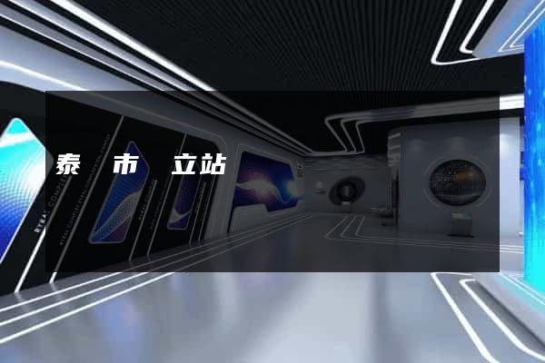 泰興市獨立站運營
