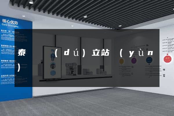 泰順縣獨(dú)立站運(yùn)營