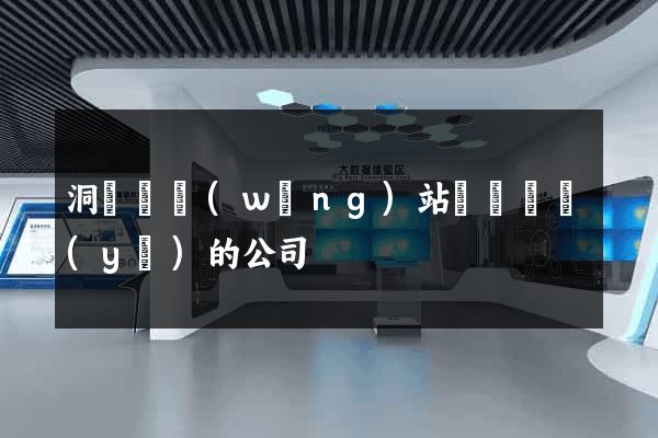 洞頭縣網(wǎng)站設計專業(yè)的公司