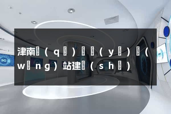 津南區(qū)專業(yè)網(wǎng)站建設(shè)