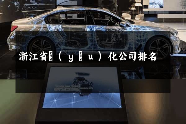 浙江省優(yōu)化公司排名