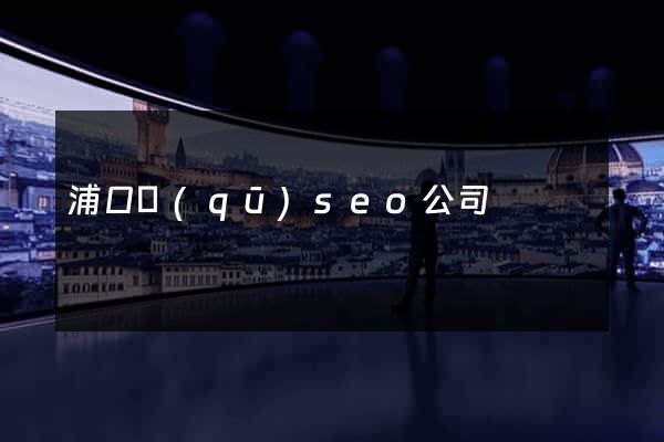 浦口區(qū)seo公司
