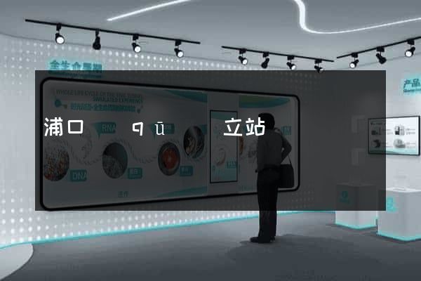 浦口區(qū)獨立站運營