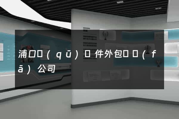 浦口區(qū)軟件外包開發(fā)公司