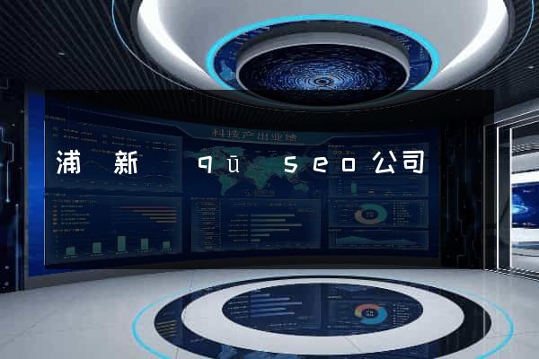 浦東新區(qū)seo公司