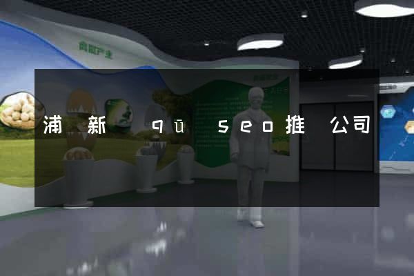 浦東新區(qū)seo推廣公司