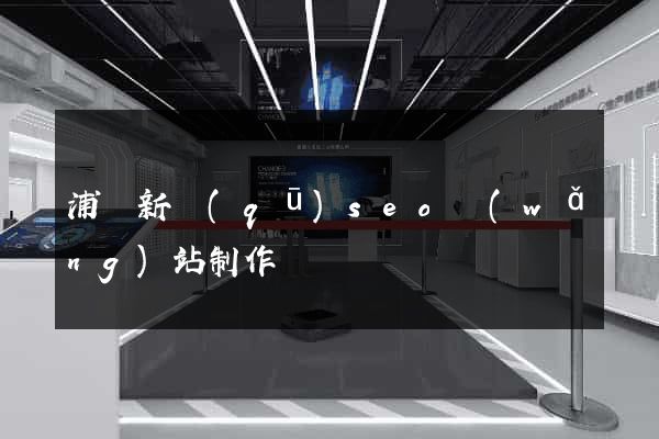 浦東新區(qū)seo網(wǎng)站制作