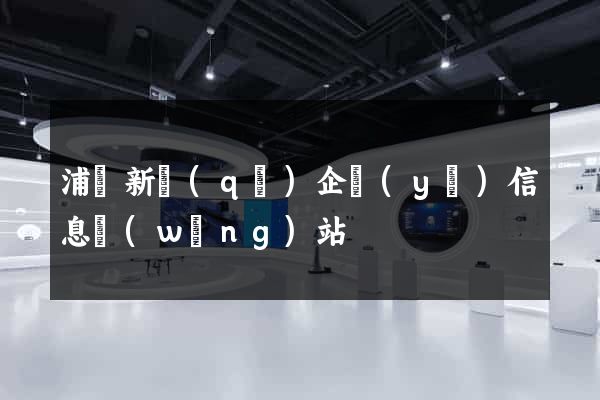 浦東新區(qū)企業(yè)信息網(wǎng)站