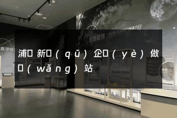 浦東新區(qū)企業(yè)做網(wǎng)站