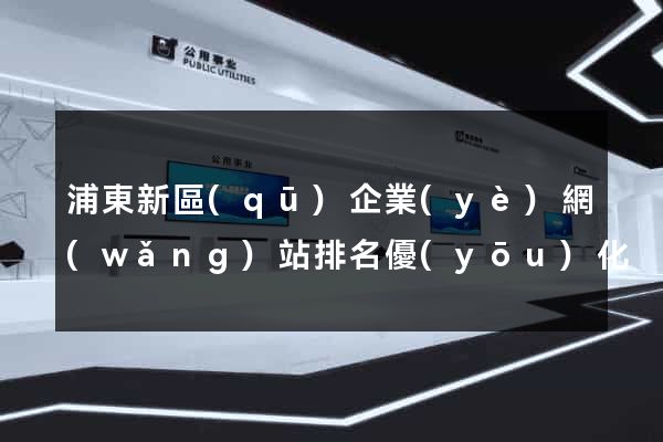 浦東新區(qū)企業(yè)網(wǎng)站排名優(yōu)化