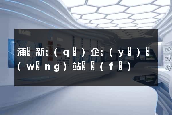 浦東新區(qū)企業(yè)網(wǎng)站開發(fā)