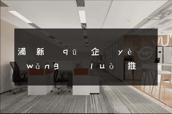 浦東新區(qū)企業(yè)網(wǎng)絡(luò)推廣