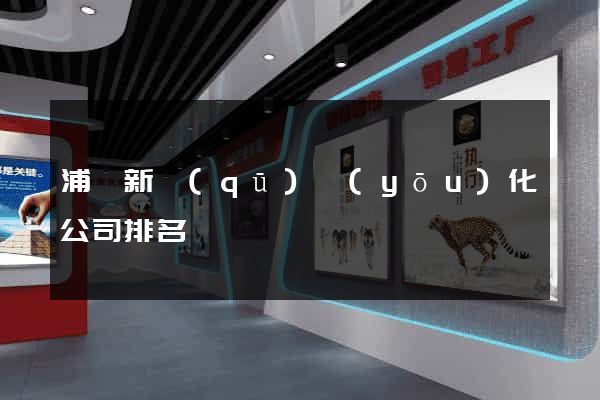 浦東新區(qū)優(yōu)化公司排名