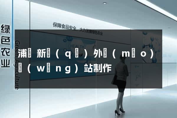 浦東新區(qū)外貿(mào)網(wǎng)站制作