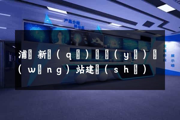 浦東新區(qū)專業(yè)網(wǎng)站建設(shè)